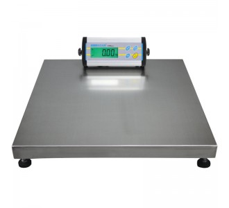CPWplus Bench and Floor Scales