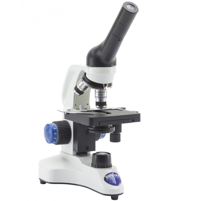 ECOVISION Series